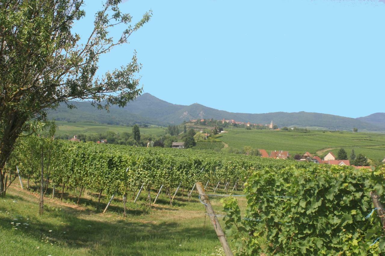 Gite Des 5 Cigognes Rouge Mittelwihr Ngoại thất bức ảnh