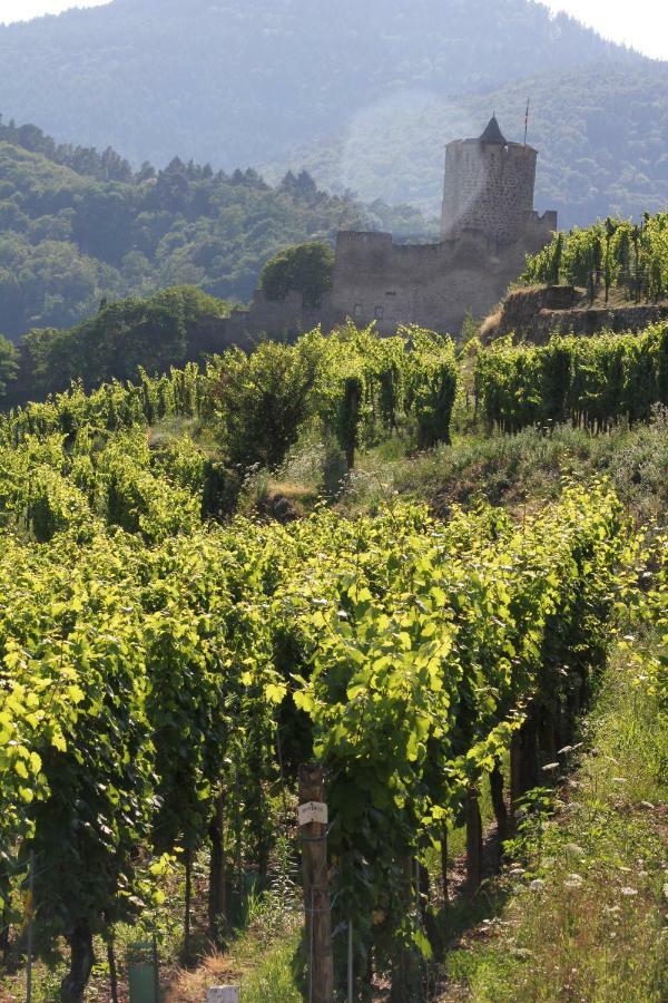 Gite Des 5 Cigognes Rouge Mittelwihr Ngoại thất bức ảnh