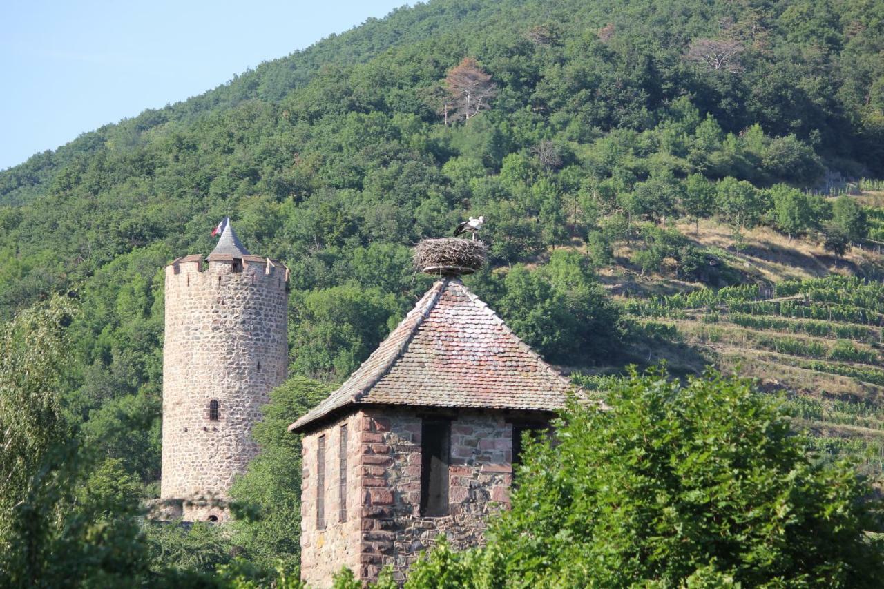 Gite Des 5 Cigognes Rouge Mittelwihr Ngoại thất bức ảnh